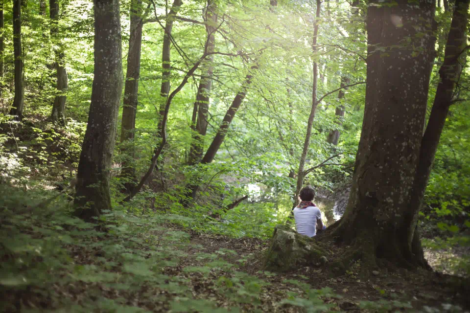 Hank Ági rendelő a természetben